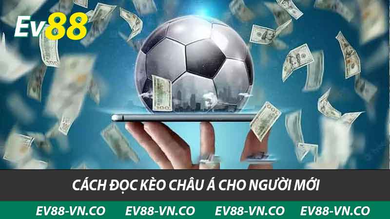 Kèo Châu Á Là Gì ? Chiến Thuật Hay Cho Người Mới Bắt Đầu 2 cách đọc kèo châu á cho người mới