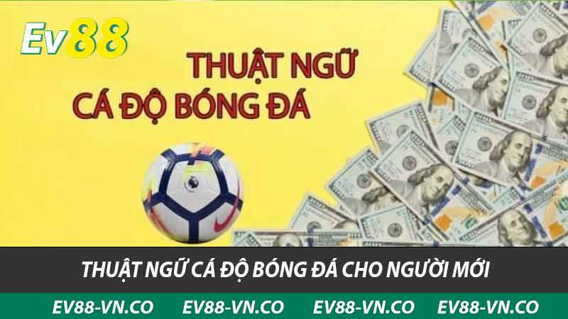 Thuật Ngữ Trong Cá Độ Bóng Đá - Kèo Hay Nằm Ngay Tại EV88 2 thuật ngữ cá độ bóng đá cho người mới